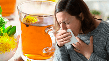 Remedio natural para calmar la tos con flemas: conoce cómo prepararlo