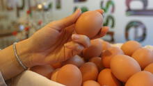 Avisur denuncia ingreso masivo de huevos de contrabando desde Ecuador y Bolivia