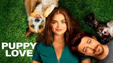 'Puppy love' movie 2023: ¿donde ver la película completa en español con Lucy Hale y Grant Gustin?
