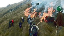 Serfor: incendios forestales se triplican este 2023