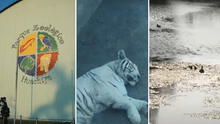Municipalidad de Lima encontró en ESTADO DE ABANDONO las instalaciones del zoológico de Huachipa