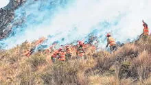Incendios forestales avanzan en ocho regiones