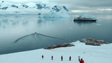 Los humanos que viven en la Antártida han desarrollado su propio acento de inglés: ¿cómo es?