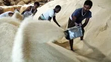 India endurece ahora exportación de arroz basmati y peligro sobre precios globales se dispara