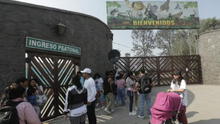 Zoológico de Huachipa: ¿por qué se resolvió el contrato con la concesionaria? Serfor lo explica