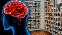 Conoce el Museo del Cerebro en Lima: ¿dónde se ubica y cómo llegar?