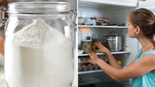 ¿Por qué siempre deberías guardar la harina en la refrigeradora y no en tu repostero?