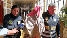 Tráfico de bebés en Cusco: investigarán a jueza que liberó a implicados en delito de trata