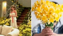 Revisa lo último que se muestra sobre cuándo regalar flores amarillas