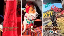 Perrito uruguayo visita el Perú y ahora es más peruano que la papa