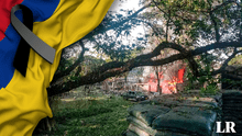 Atentado en Cauca HOY: ¿qué se sabe del ataque de terroristas en Timba