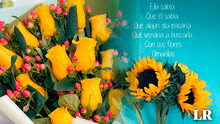 Flores amarillas: IMÁGENES con FRASES para dedicar este 21 de marzo