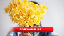 FLORES AMARILLAS 2024: ¿por qué las regalan y qué relación tiene con FLORICIENTA?