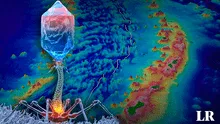 Hallan un virus desconocido para la ciencia en el lugar más profundo de la Tierra