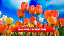 ¿Cuándo inicia la PRIMAVERA en Perú 2023? Qué se celebra, fecha oficial y más