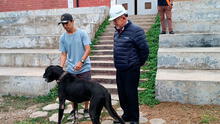 Surco: familia se reencuentra con Figo, su perrito perdido durante 4 años