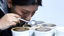 Jóvenes puneños se certifican como catadores internacionales de café arábica