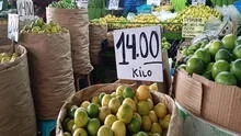 Precio del limón: cuánto cuesta el kilo en Lima y regiones del Perú