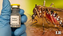OMS recomienda uso de la primera vacuna contra el dengue ante alza de casos en Latinoamérica