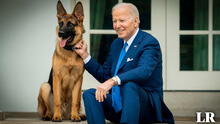 ¿Por qué Commander, el perro del presidente Joe Biden, tuvo que ser expulsado de la Casa Blanca?