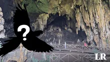 La Cueva de las Lechuzas no tiene lechuzas: ¿qué raro animal habita la atracción turística?