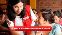 Programa Nacional Aurora abre convocatoria para titulados con sueldos de hasta S/9.000
