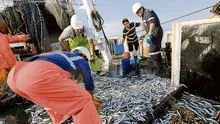 Avanza pesca exploratoria en favor de la industria