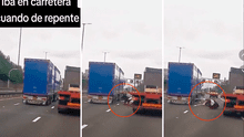 Vaca sorprende a conductores al caer de enorme camión en pleno movimiento: “Libre, pero a qué costo”