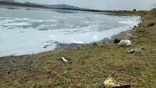 Puno: aguas negras de Juliaca no serán vertidas a río Coata