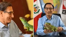 Vizcarra dice que "venderá" peluches de lagarto en Navidad: "Para financiar el partido"