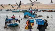 Fenómeno El Niño 2023: ¿qué pescados y mariscos estarán disponibles estos meses?