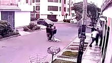 ¿Nueva modalidad? Hombre se hace pasar como paseador de perro y roba celular en Surco