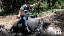 El trágico final del hombre que crio a un hipopótamo desde bebé: fue hallado con mordeduras