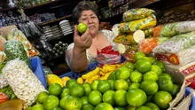 Midagri reporta descenso en precio del limón: ¿en cuánto cuesta ahora?