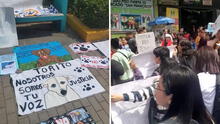 Justicia para Torito: decenas de ciudadanos protestan en defensa de perrito ultrajado en VMT