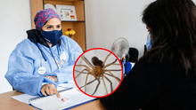 Hospital Cayetano Heredia: especialistas salvan a menor con caso grave de mordedura de araña