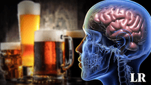 Descubren en cuánto tiempo el cerebro se recupera de beber alcohol en exceso