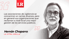 Participación e interés en la política, por Hernán Chaparro