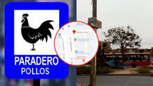 Paradero Pollos: ¿por qué se llama así esta parada del distrito de Comas si no hay una granja avícola?