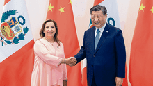 Cumbre APEC: presidenta Dina Boluarte se reunió con presidentes de China y de Corea