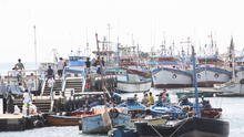 Pescadores de anchoveta en crisis solicitan ayuda en Piura