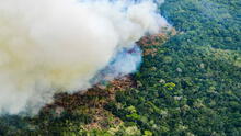 Serfor: más del 70% de incendios forestales han ocurrido en la Amazonía Peruana