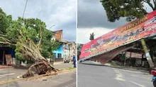 Fuertes vientos destruyen casas y provocan caída de árboles en Loreto