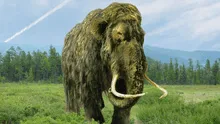 Una empresa de científicos busca resucitar al mamut lanudo en América para 2028