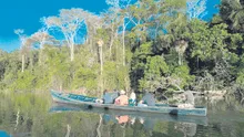 Destinan US$1,2 millones para conservación de la Amazonía