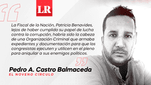 La Cosa Nostra perucha, por Pedro A. Castro