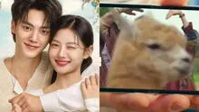 ¡Perú aparece en 'Mi adorable demonio'!: llamas se lucen en k-drama de Netflix con Song Kang