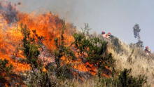 Sondor arde hace 16 días en Arequipa: 1.000 hectáreas destruidas y animales muertos