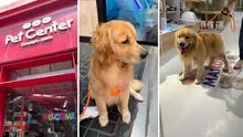 Llevó a su perro a bañar y se lo devuelven cojeando: joven denuncia a veterinaria de Jockey Plaza