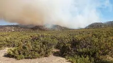 Incendios forestales causan graves daños en Arequipa y Moquegua